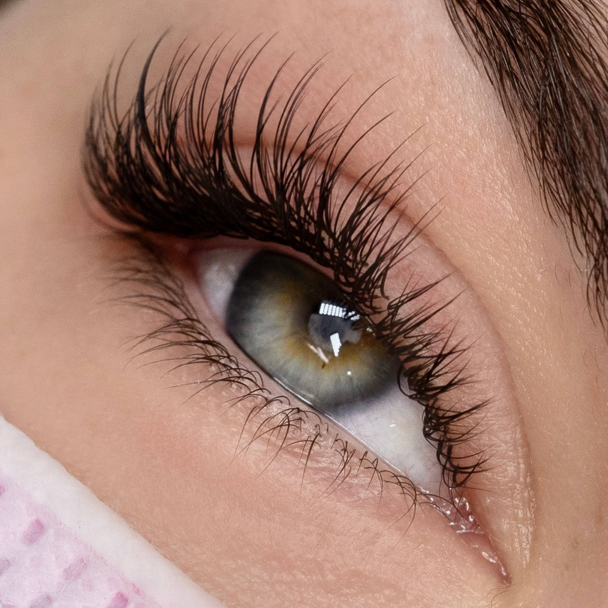 Beginner Lash Training Video Course