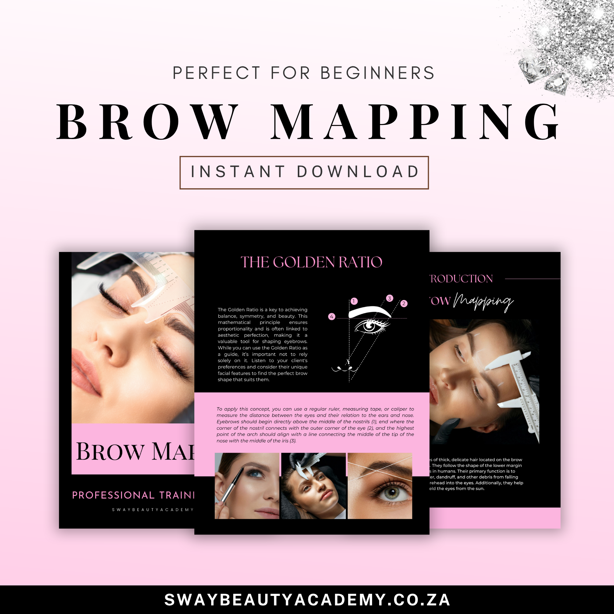 Brow Mapping Course