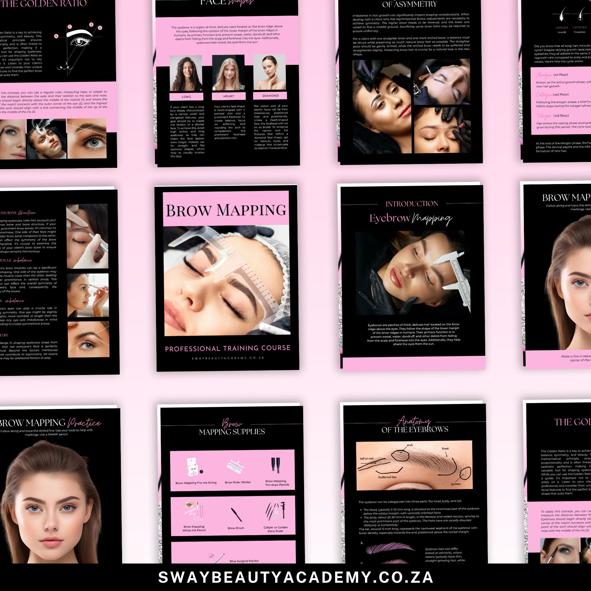Brow Mapping Course