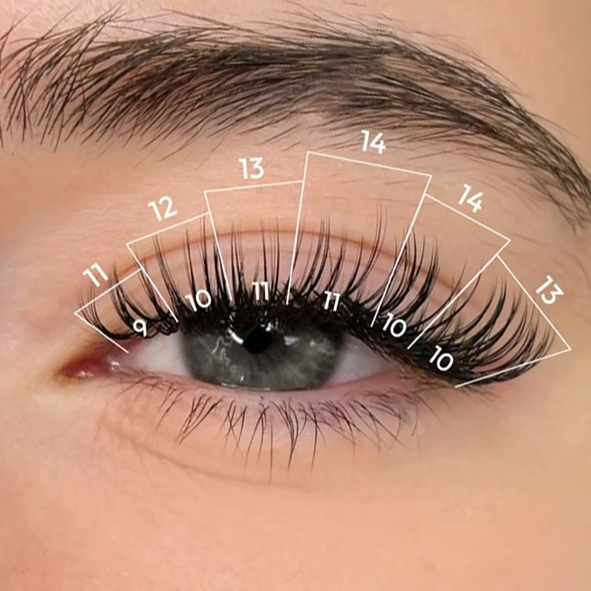 Beginner Lash Training Video Course